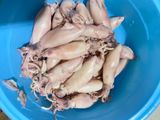 Tumis cumi asin