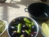 محشي كوسا وباذنجان
