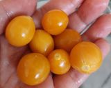 Foto del paso 1 de la receta: Salsa de Golden Berry o Uchuva