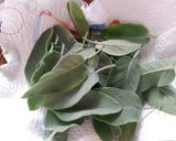 Foto del passaggio 5 della ricetta Crochette di Tagliolini in Burrata e Foglie di Salvia croccanti