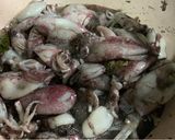 Foto langkah ke 2 dari resep Cumi hitam.
