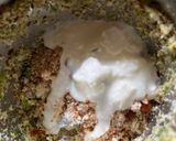 A picture of step 6 of Sprouted Dosa with Green Chutney Full meal,with Rich Protins and vegetable.