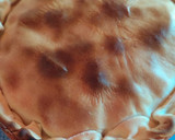 Foto del paso 5 de la receta: 🧀 Tarta rápida de jamón y queso  🧀