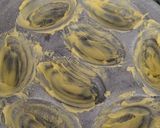 Foto langkah ke 2 dari resep Butter Tteok.