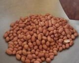 तिल मूंगफली चिक्की (Til mungfali chikki recipe in Hindi) रेसिपी चरण 1 फोटो
