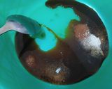 Foto langkah ke 1 dari resep Bistik ayam ala Acil (Dg Bumbu Dasar Putih).