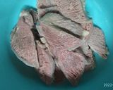 Foto langkah ke 1 dari resep 14. Empal daging sapi.