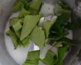 પાન કોકોનટ લડ્ડૂ(Paan coconut ladoo recipe in Gujarati) રેસીપી સ્ટેપ1ફોટો