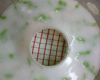 Puding CENDOL LUMUT - Step 2