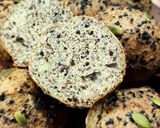 Foto del paso 5 de la receta: 🫓🌻Pancitos de harina de trigo sarraceno, ricota y semillas 🌻🫓 #singluten