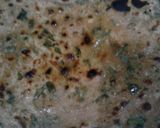 A picture of step 8 of Methi Paratha.