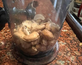Foto del paso 1 de la receta: QUESO de CAJU con cúrcuma y hierbas