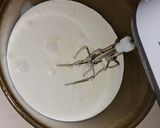 Foto del paso 9 de la receta: Tarta de queso sin horno y con pocos ingredientes