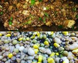 Foto del paso 8 de la receta: Chutney de mondongo y carne al Wok con ensalada de legumbres