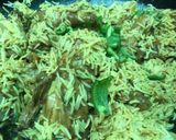 A picture of step 7 of Biryani Rice.