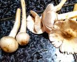 Chhatu Besara (Mushrooms in mustard gravy) recipe step 1 photo