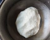 A picture of step 9 of Chhena 3.0.