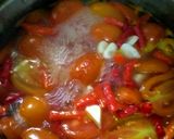Foto langkah ke 2 dari resep Saus Tomat Sehat Organik.