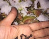 Foto del paso 3 de la receta: Mermelada de Higos 🏡✨