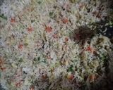 A picture of step 4 of My favorite homemade fried rice...♥️ 🍽️🍝.