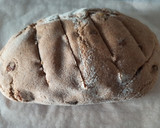 Foto del paso 11 de la receta: Pan de masa madre al horno sin molde (BLW)