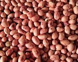 A picture of step 1 of Peanut chutney.
