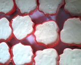 Foto langkah ke 4 dari resep Bolu Kukus Mawar.
