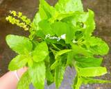 กะเพราหมูสับผัดพริกไทยอ่อน🌶🍃 วิธีทำสูตร 1 รูป