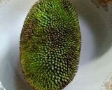 Foto langkah ke 1 dari resep Sayur / kuwah pliek U (boh kulu) kluwih daun melinjo.