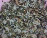 A picture of step 1 of Mooli ki Sabzi.
