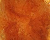 Foto del paso 3 de la receta: Calabaza de casco con leche 😋
