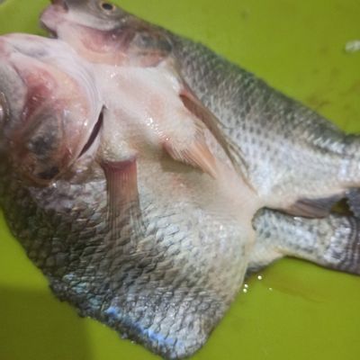 Langkah 1