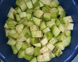 Foto langkah ke 2 dari resep Lodeh terong Putut tahu.