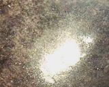 A picture of step 11 of Healthy Tasty Moringa Leaves Powder.
