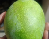 ஒட்டு மாங்காய் ஊறுகாய் ரெசிபி ஸ்டேப் 1 புகைப்படம்