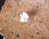 A picture of step 3 of Bysan ki roti.
