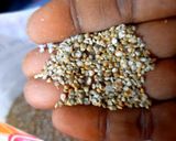 A picture of step 1 of Broken Pearl Millet Upma.