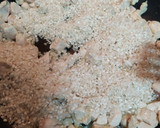 Foto del paso 2 de la receta: Paella con pechuga de pollo