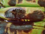 Terong Bakar Penyet