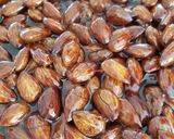 Foto del passaggio 4 della ricetta Torrone siciliano (Minnulata)