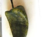 Foto del paso 4 de la receta: Rajas con crema