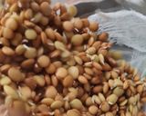 Foto del paso 3 de la receta: Brotes de lentejas al limón 🌱🍋 Germinado de lentejas alimonadas 🌱 🍋