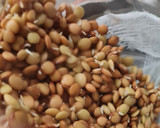 Foto del paso 3 de la receta: Brotes de lentejas al limón 🌱🍋 Germinado de lentejas alimonadas 🌱 🍋