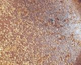 صورة لخطوة 1 من وصفة بسبوسة خفة وبنة 😋😋😋
