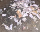 Foto langkah ke 3 dari resep Bening Bayam Jagung Brokoli Endesss.