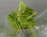 Foto del paso 1 de la receta Gazpacho de pepino🥒 y hierbabuena🌿