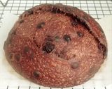 Foto langkah ke 23 dari resep Brownie Sourdough Bread (Open Bake Method).