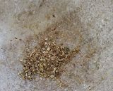 A picture of step 3 of Mooli ki Chutney.