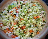 Foto del paso 2 de la receta: Caracolas orientales de verduras