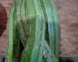 Foto langkah ke 1 dari resep Sayur Bening Bayam dan Oyong.